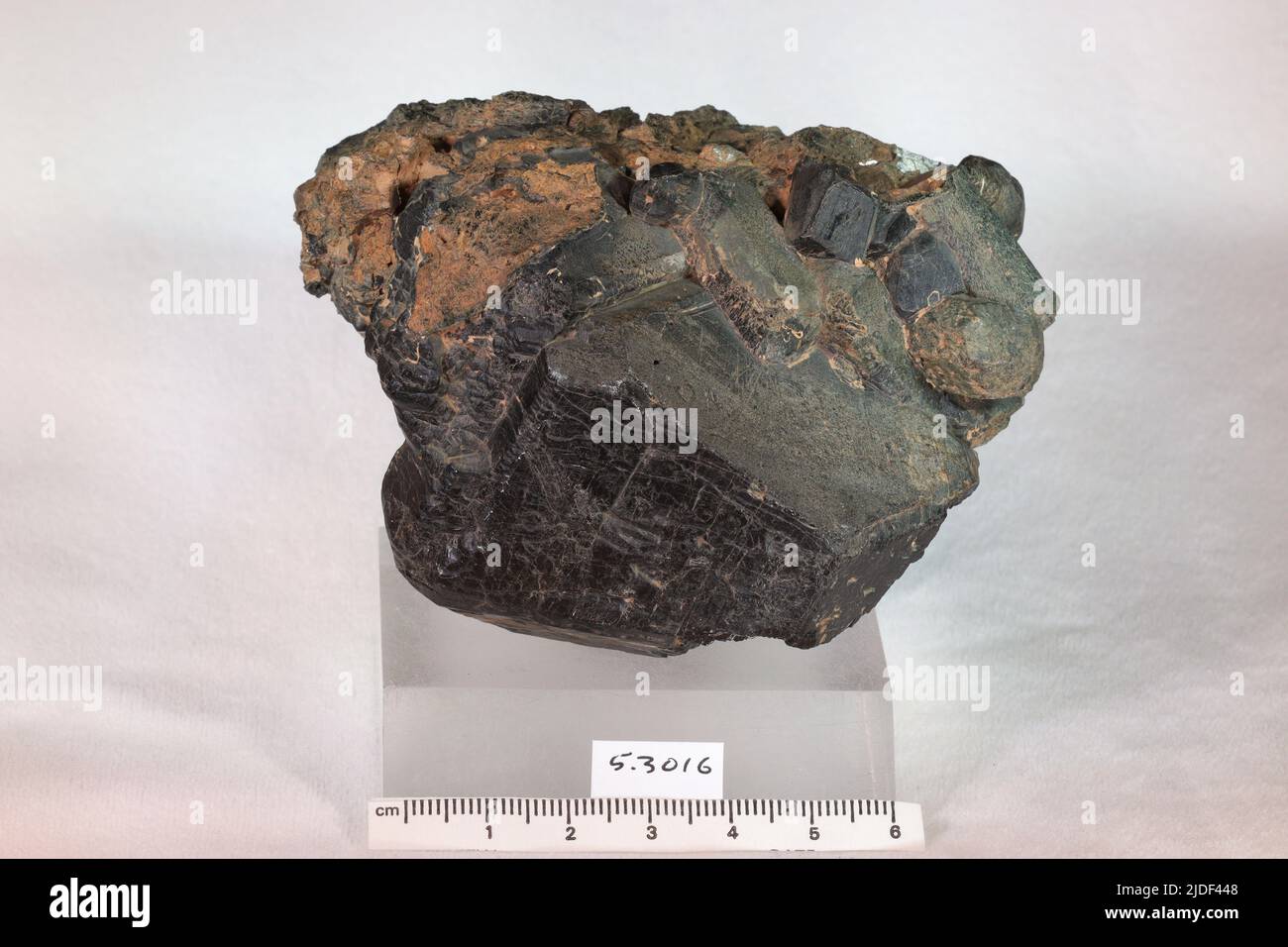 Amphibol. Mineralien. Nordamerika; USA; New York; Orange County; Edenville Stockfoto