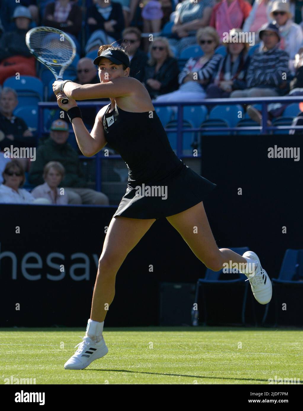 Rothesay wta internationales damentennis Fotos und Bildmaterial in