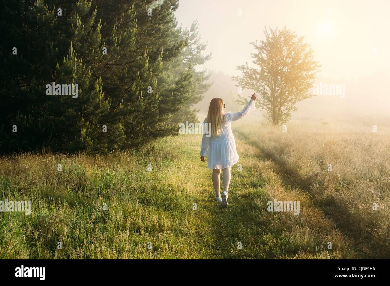 Frau weißes Kleid zu Fuß in den Sommermorgen und genießen Sie schönen Wald bei Sonnenaufgang Stockfoto