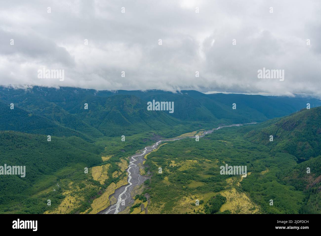 Landschaften des Staates Washington in der Nähe des Mount St. Helens an einem nebligen Tag im Juni 2022 Stockfoto