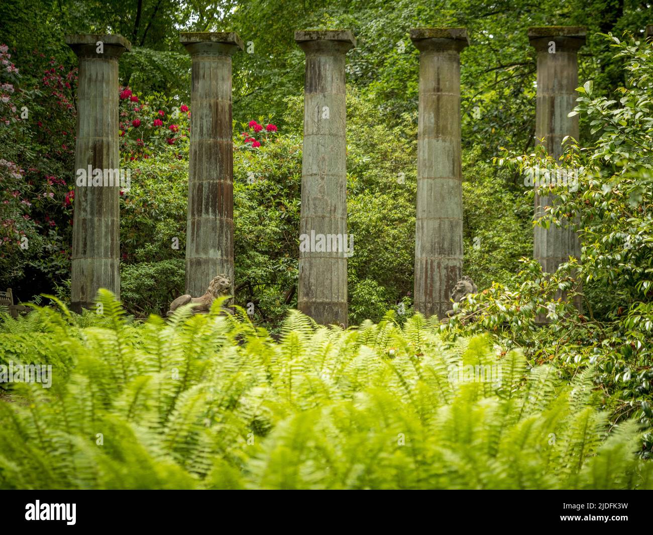 Dorische Säulen und steinerne Löwen, mit Federockenfarnen im Vordergrund. Harlow Carr Gardens, Harrogate. North Yorkshire. VEREINIGTES KÖNIGREICH. Stockfoto