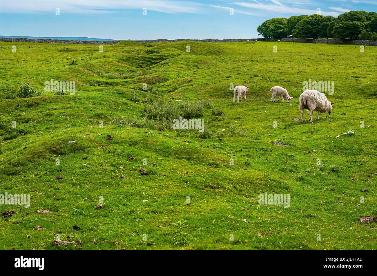 Höhlen und Hügel auf der alten Mineralader von Faucet (Foreside) Rake, Schauplatz vieler großer Bleiminen, in der Nähe der Rowter Farm in Castleton, Peak District. Stockfoto