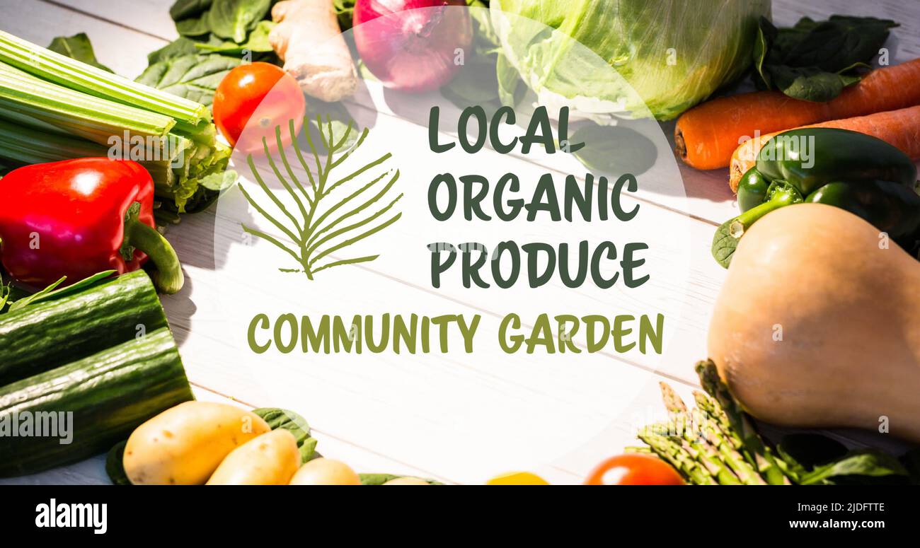 Bild von lokalen Bio-Produkten Text in grün über frischem Gemüse auf weißen Brettern Stockfoto