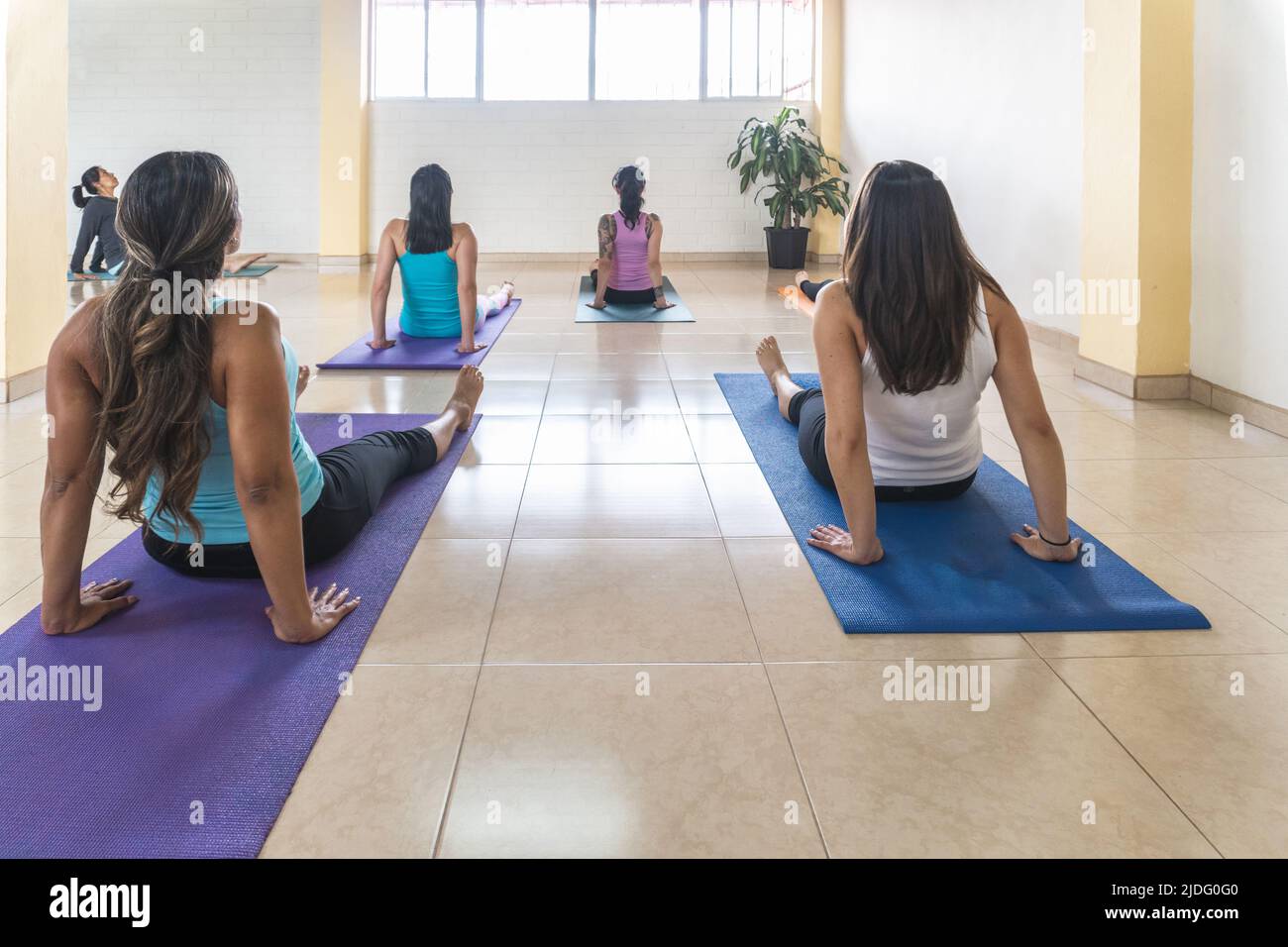 Frauen von hinten sitzen auf einer Matte in Yoga-Klasse. Dandasana Pose Stockfoto