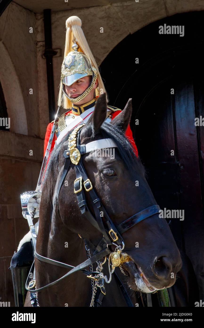 Ein Rettungsschwimmer der Kavallerie auf einem Pferd vor dem pferderücken, London, England, Vereinigtes Königreich, am Donnerstag, 19. Mai 2022. Stockfoto