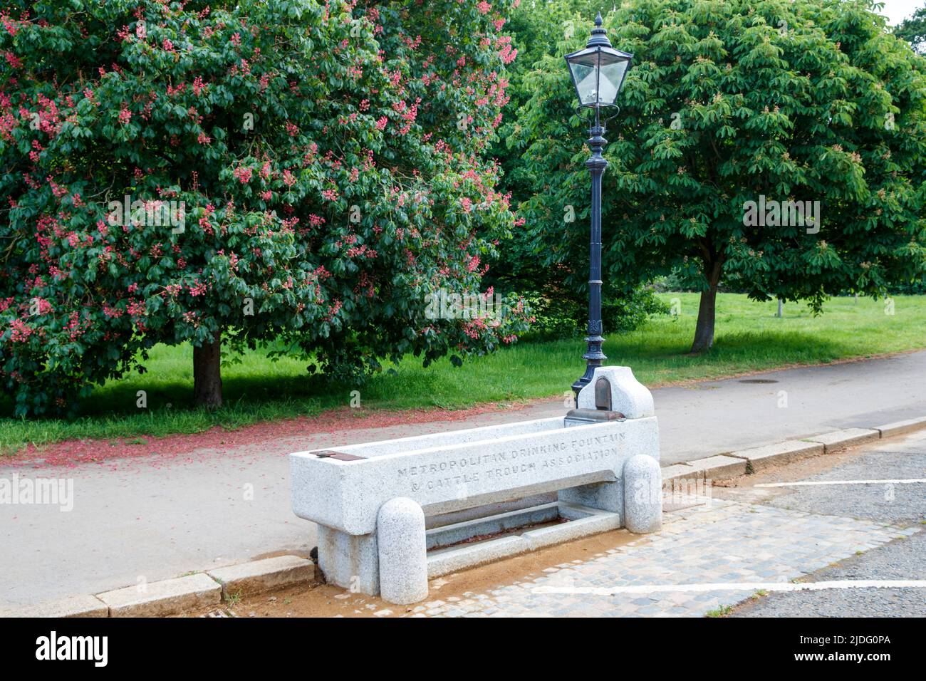 Metropolitan Trinkbrunnen und Rindertrog im Hyde Park, London, England, Vereinigtes Königreich am Donnerstag, 19. Mai 2022. Stockfoto