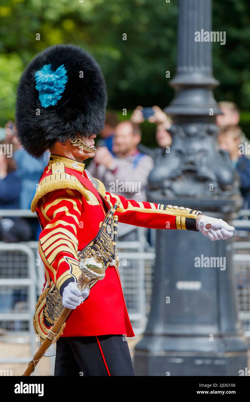 Senior Drum Major Gareth Chambers, Trooping the Colour Prohearsals, The Mall, London England, Großbritannien Stockfoto