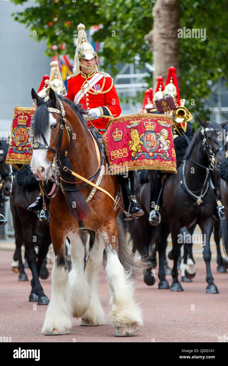 Harry, das Trommelpferd bei Trooping the Color Probesals, The Mall, London England, Großbritannien Samstag, 21. Mai, 2022. Stockfoto