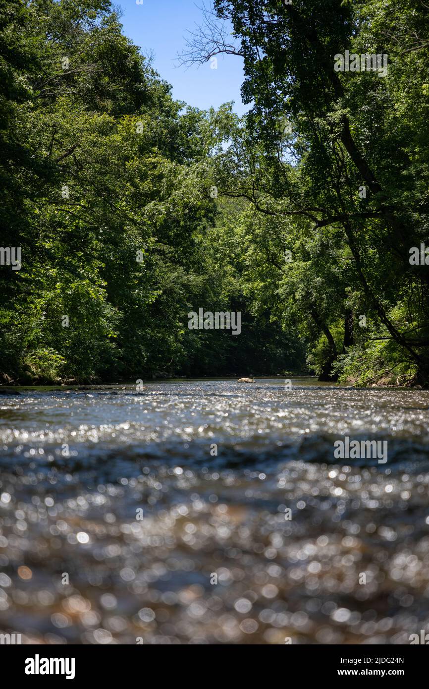 Wunderschöner Fluss, Der Durch Den Üppigen Delaware Forest Fließt Stockfoto