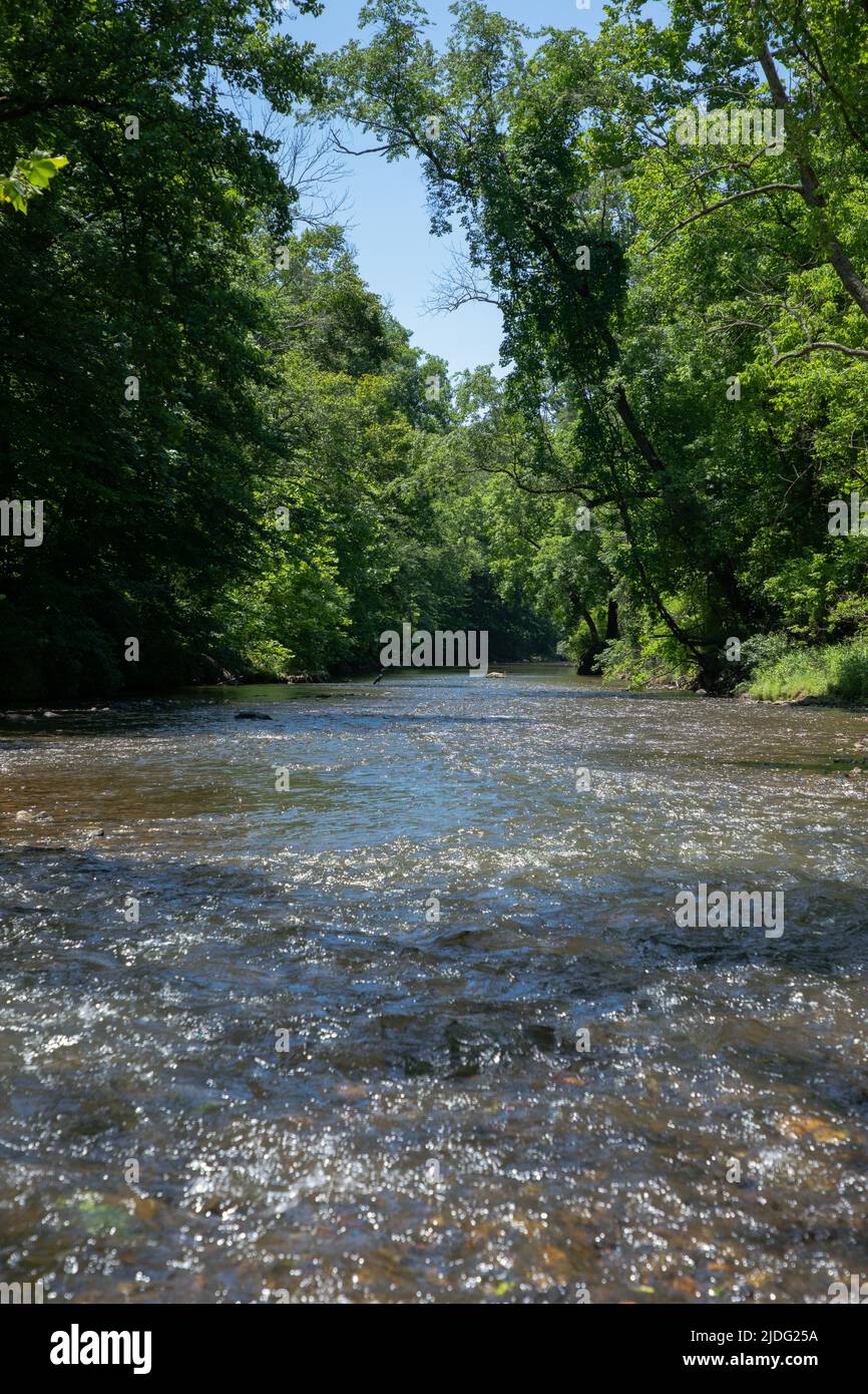 Wunderschöner Fluss, Der Durch Den Üppigen Delaware Forest Fließt Stockfoto