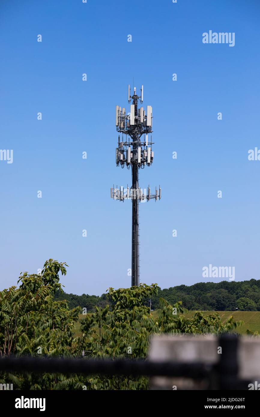 Alter Handy-Turm, umgeben von üppigem Wald Stockfoto