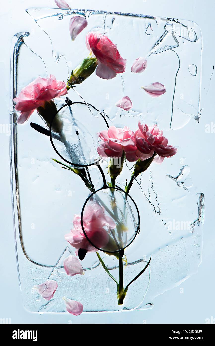 Gläser und Blumen in einem Eisblock, fragile Schönheit, Augengesundheitskonzept Stockfoto