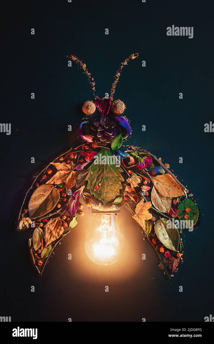 Firefly Silhouette machen aus Blättern, Eicheln und einer Glühbirne, magische Insekten Flatlay Stockfoto