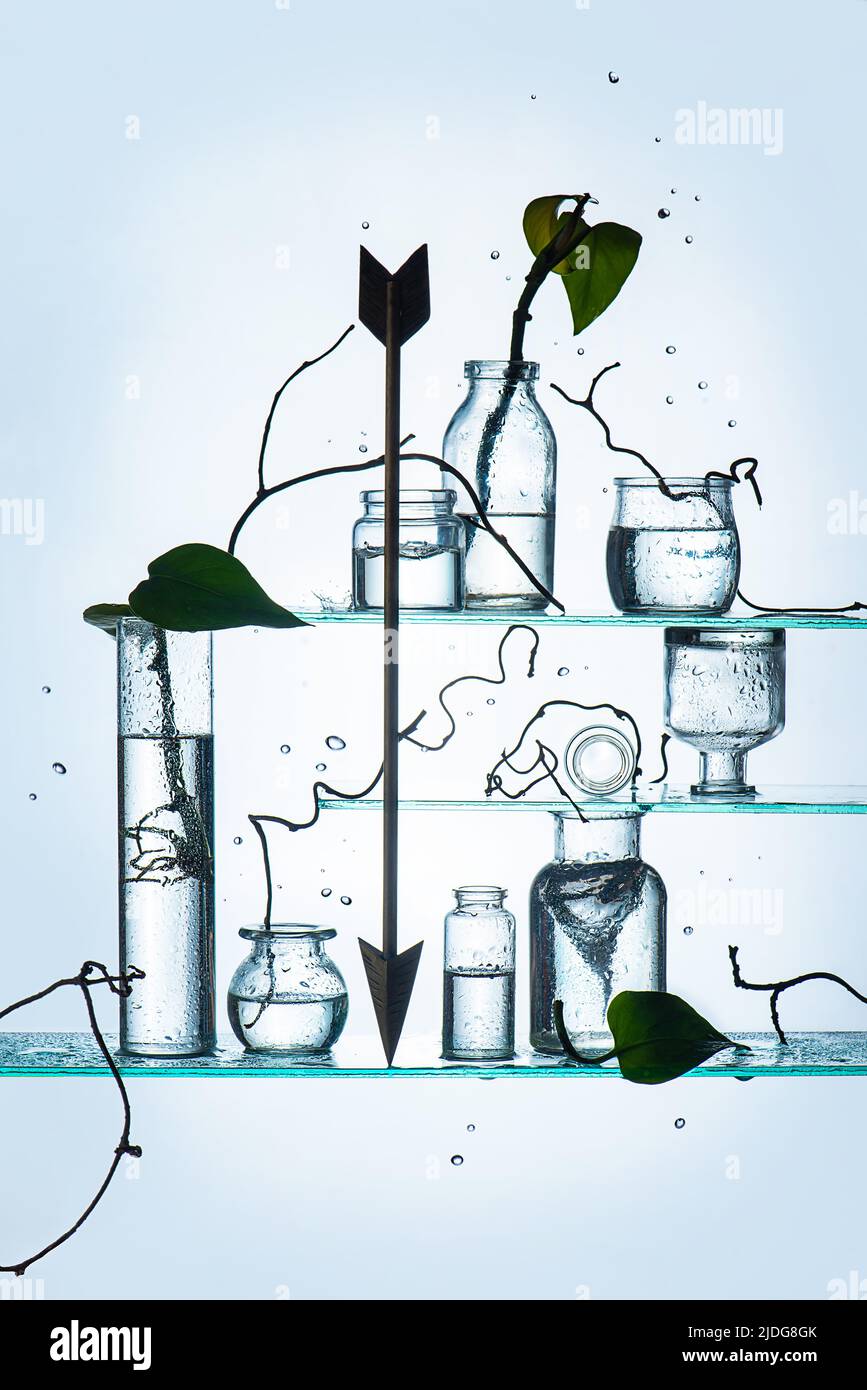 Pfeil Silhouette in fragilen Kompositionen mit Glasflaschen auf Regalen mit Blättern und Wassertropfen Stockfoto