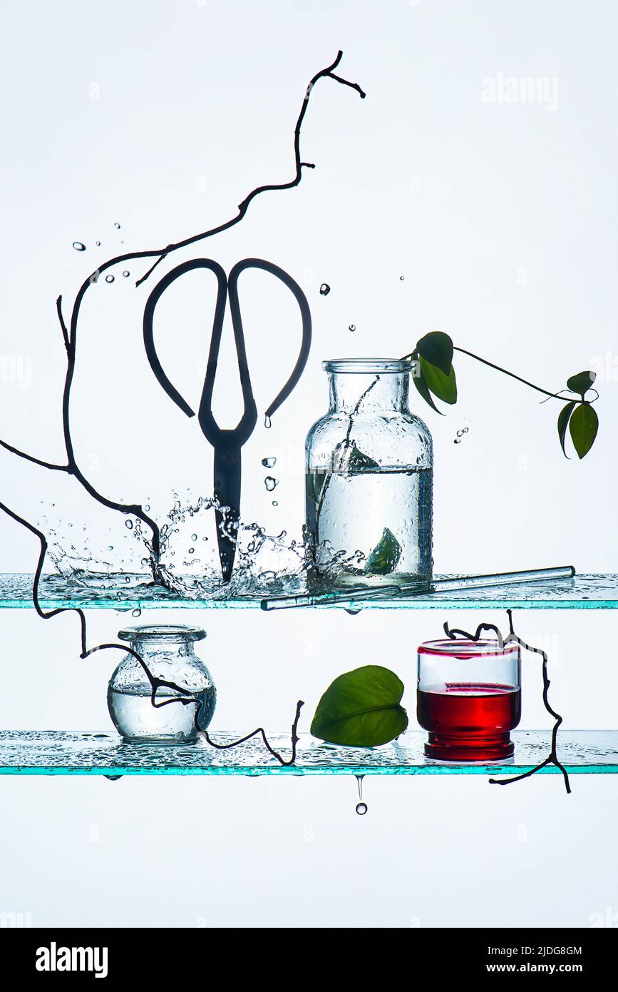 Gartenschere, Magnolienrebe, Glasflaschen und Wasserspritzer im Hintergrund, fragiles Stillleben Stockfoto