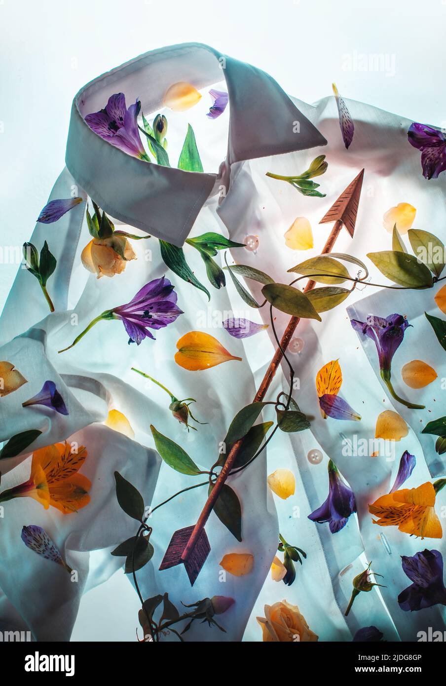 Goldener Pfeil auf einer weißen Short mit Blütenblättern, Blumen und Blättern, verliebt sich Konzept Stockfoto