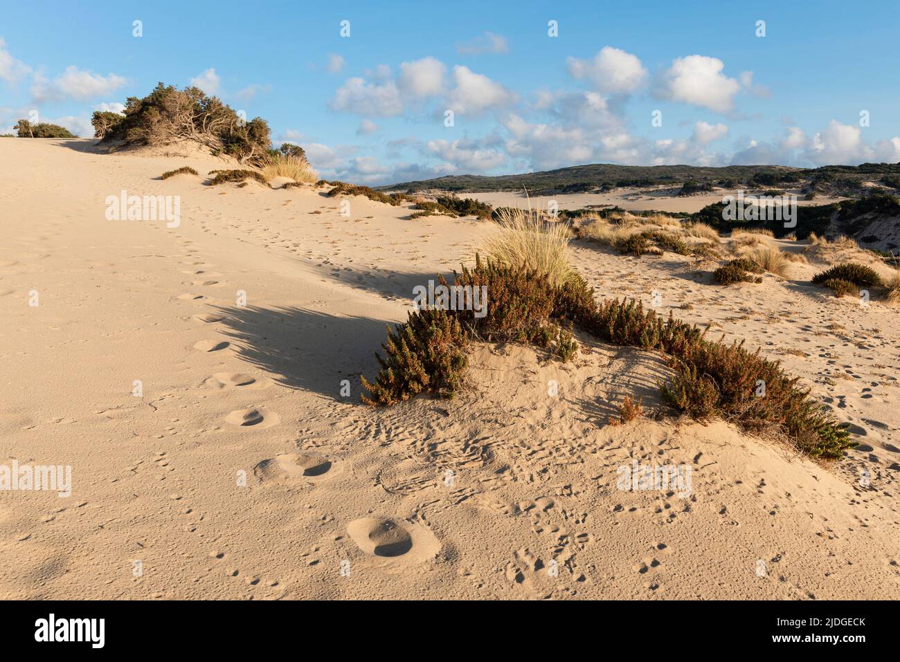 Fußspuren im Sand der Dünen am Strand von Piscinas am Mittelmeer, Costa Verde in der warmen Abendsonne, Sardinien, Italien Stockfoto