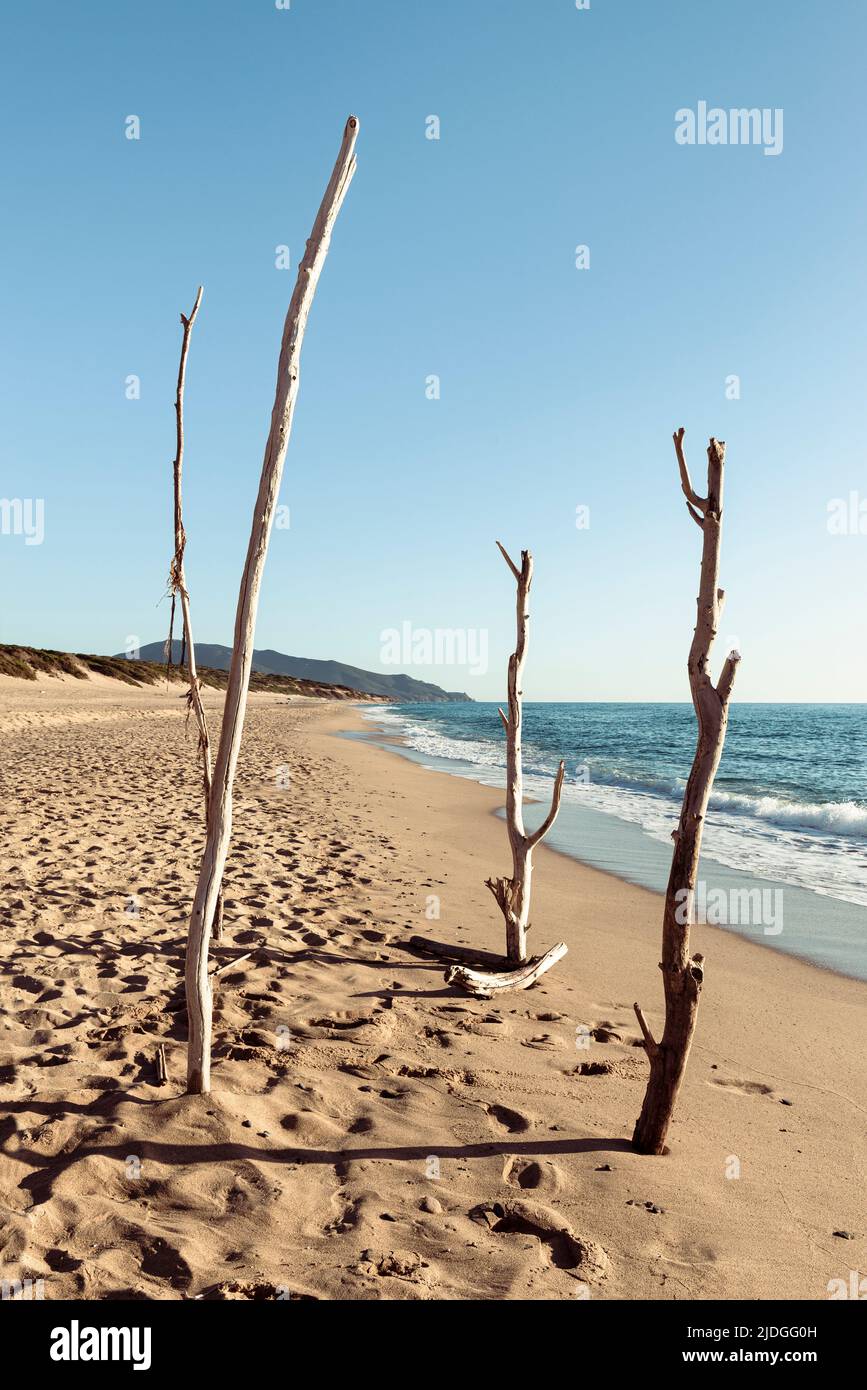 Vier Holzpfähle stecken direkt im Sand am Naturstrand und den Dünen bei Piscinas an der Costa Verde, Sardinien, Italien Stockfoto