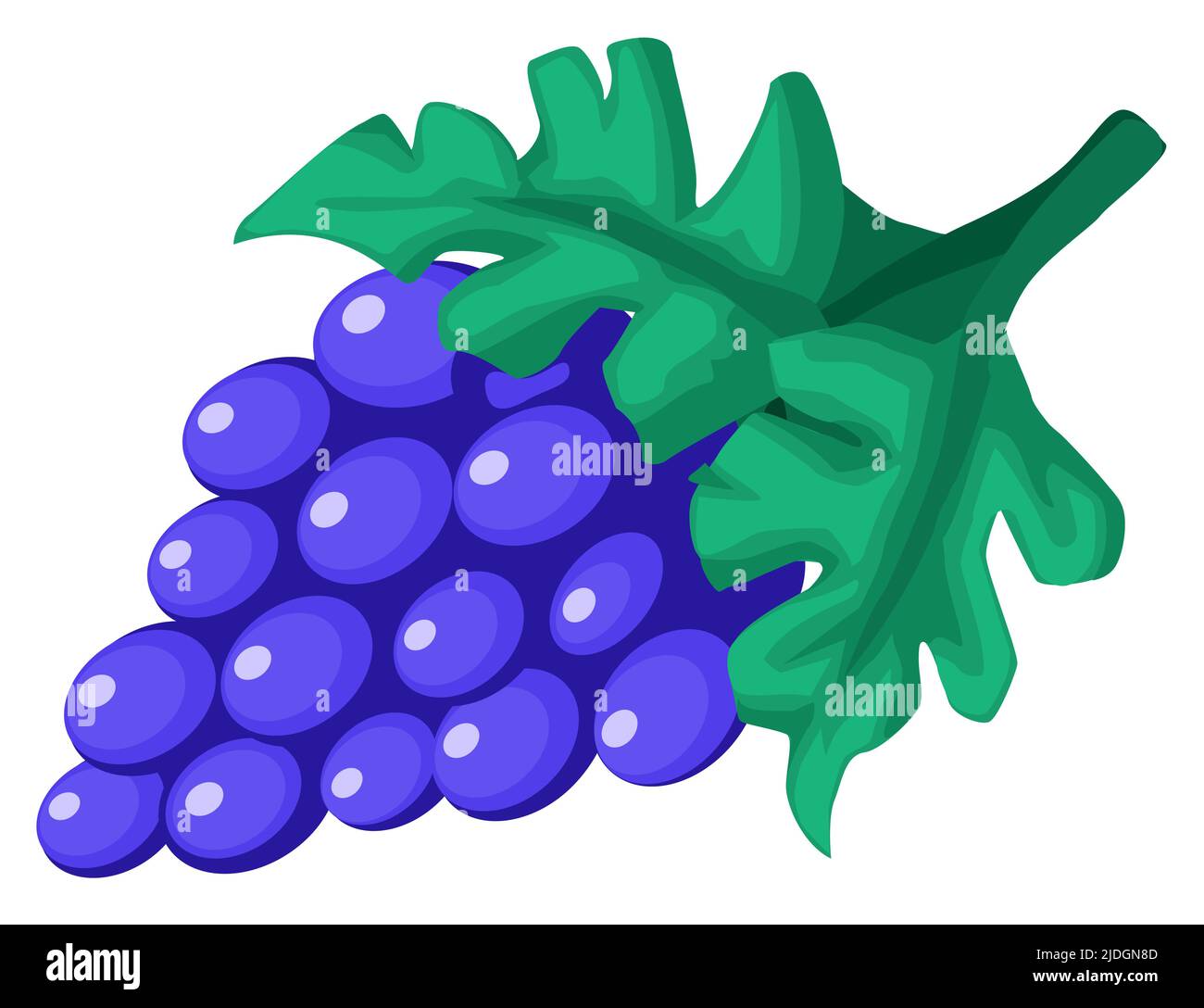 Trauben Frucht lila Cartoon Farbe Vektor Illustration, horizontal, über weiß, isoliert Stock Vektor
