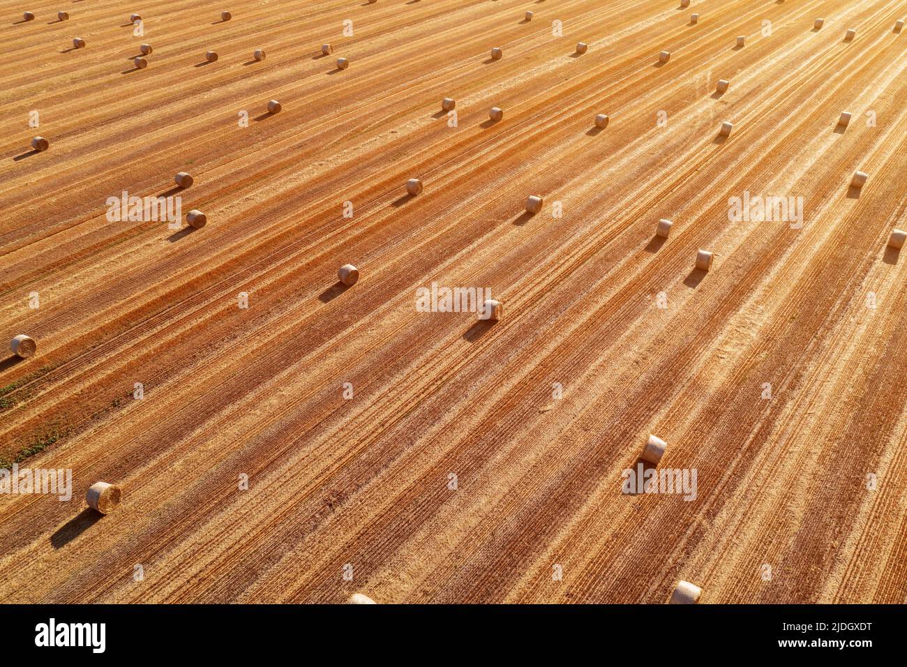 Luftaufnahme von gerollten Heuballen in geerntetem Weizenfeld von Drohne pov, High-Angle-View-Fotografie Stockfoto