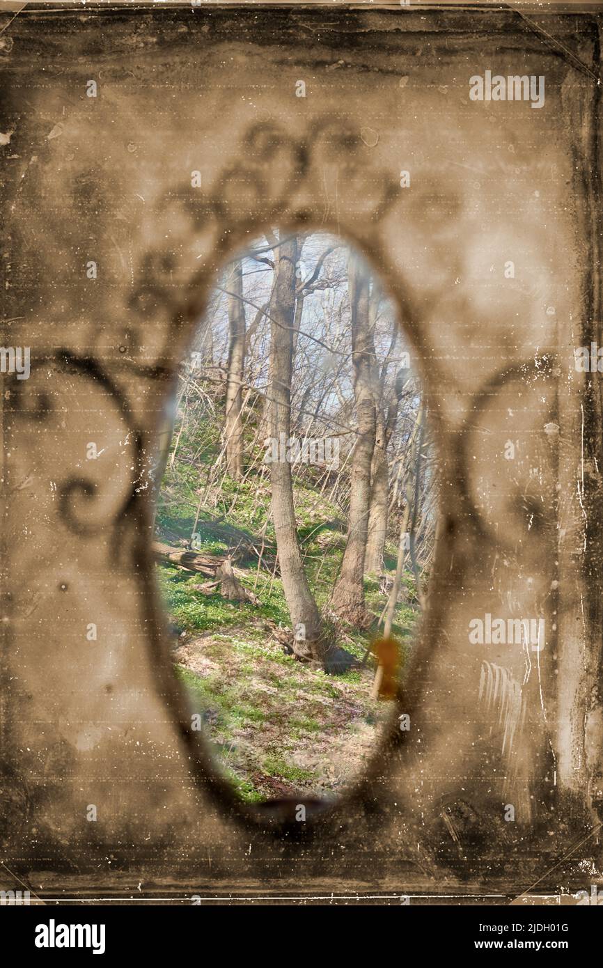 Alter Vintage Spiegel mit grünem Wald und blauem Himmel Reflexion, surreales Kunstkonzept. Antiker Postproduktionseffekt an der Wand mit Spiegelreflexion, surr Stockfoto