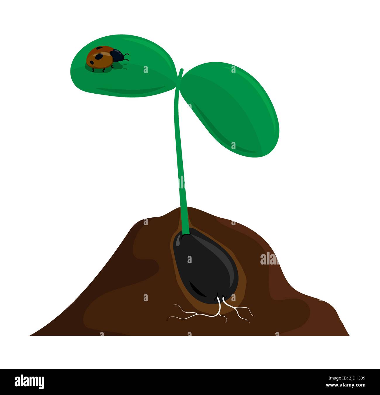 Junge Pflanze sprießt aus Samen im Boden. Gartenarbeit und Anbau von Obst und Gemüse auf dem Bauernhof. Cartoon-Vektor auf weißem Hintergrund isoliert Stock Vektor