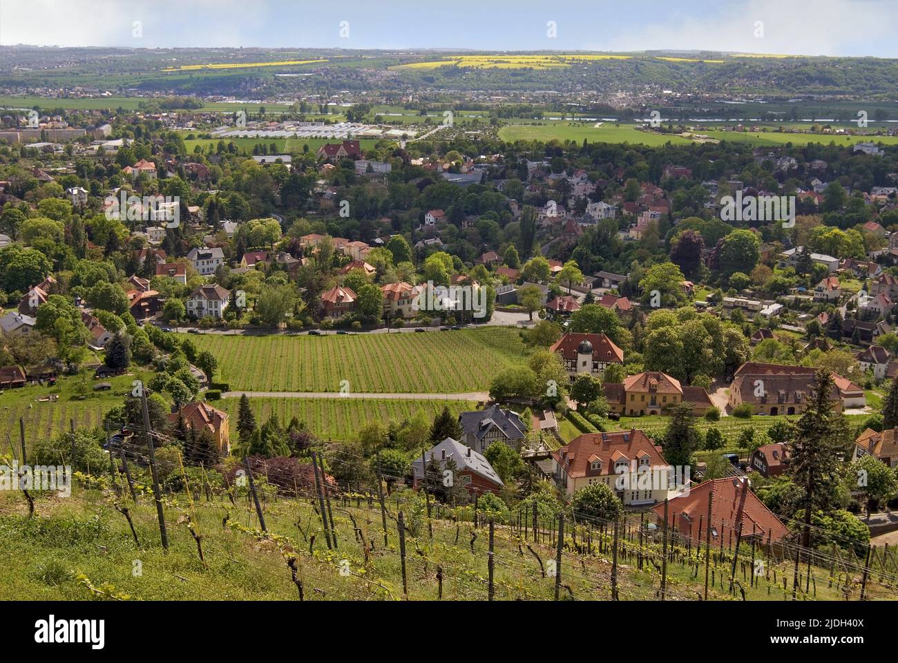 Blick über das Elbtal, Weltkulturerbe, von den Weinbergen von Radebeul aus gesehen, Deutschland, Sachsen, Radebeul Stockfoto
