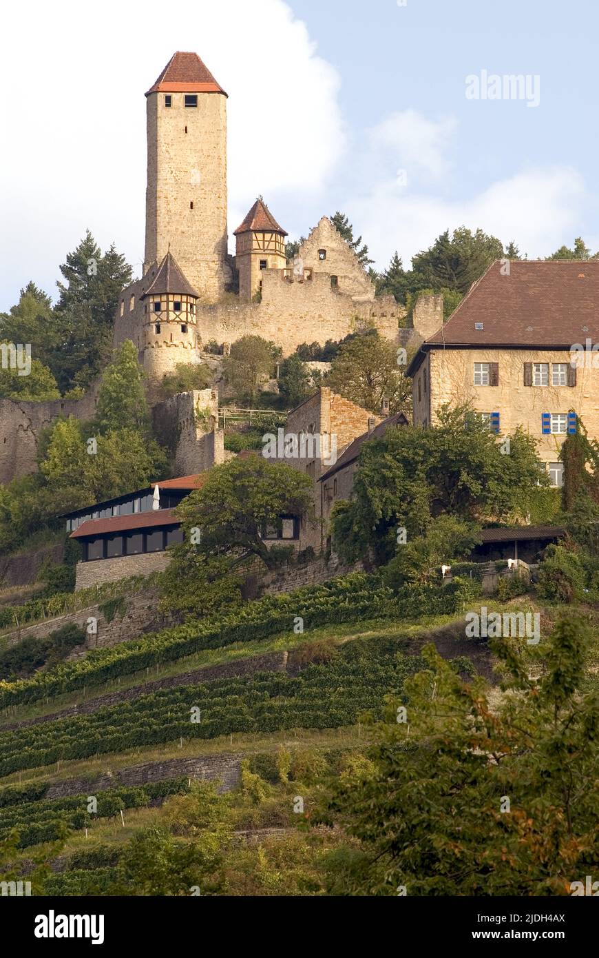 Schloss Hornberg, die Hochburg von Götz von Berlichingen, Deutschland, Baden-Württemberg, Neckarzimmern Stockfoto