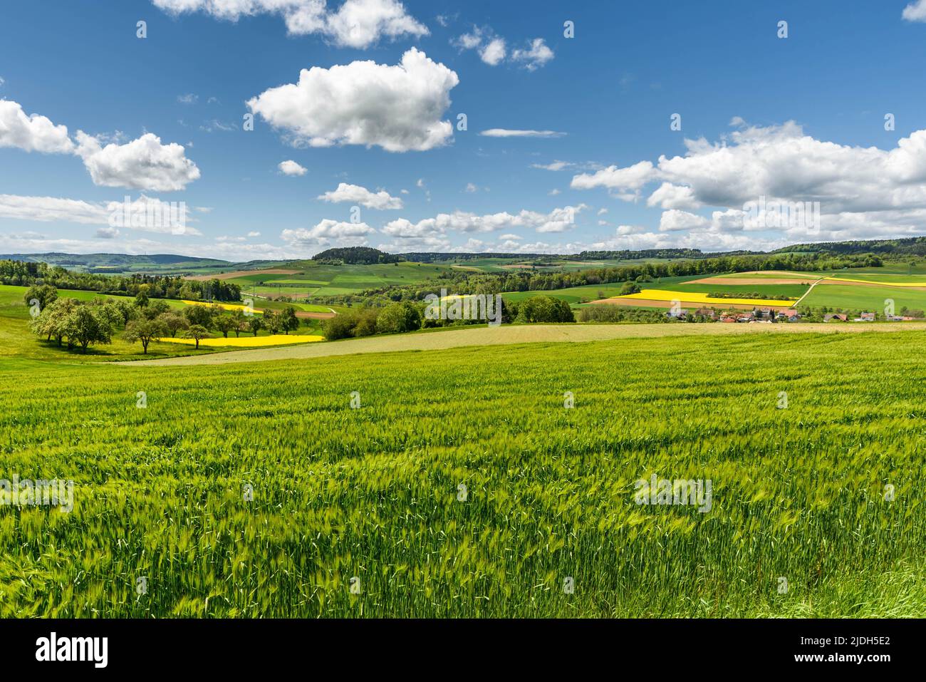 Grüne, hügelige Landschaft und Felder mit blauem bewölktem Himmel in Hegau in Süddeutschland, Stockfoto