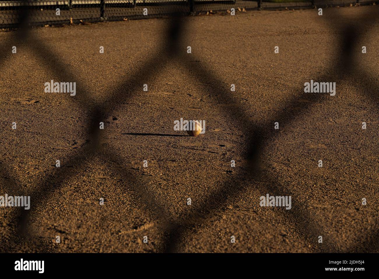 Im Feld des Baseballdiamanten am frühen Morgen Stockfoto