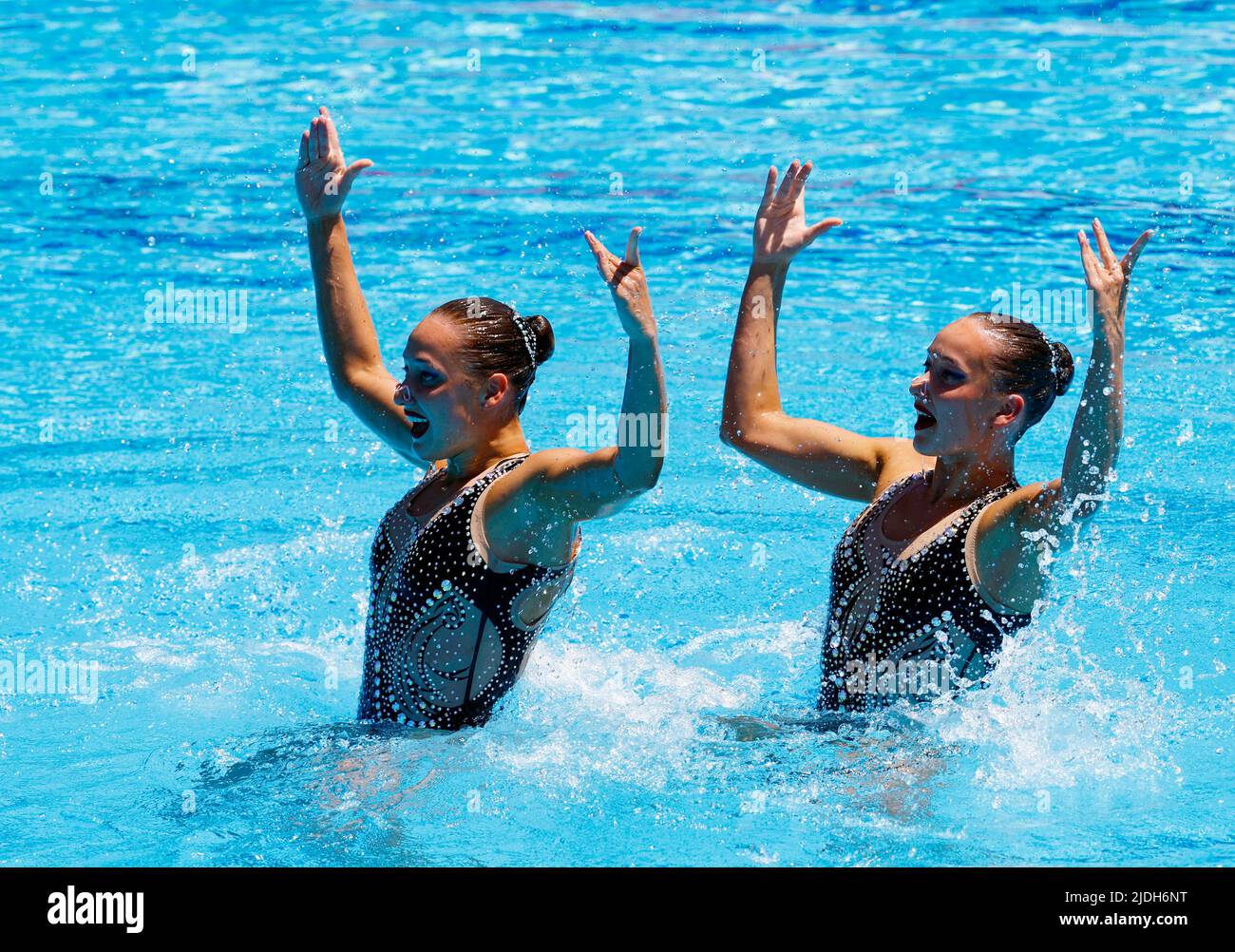 Schwimmen FINA World Championships Budapest, Ungarn 21. Juni 2022