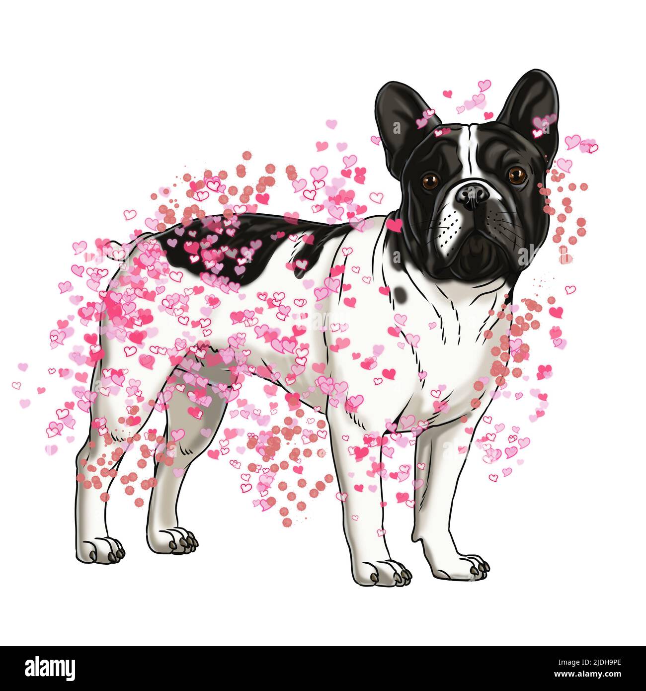 Niedliche französisch Bulldogge Zeichnung. Handgefertigte isolierte Illustration mit dem Hund. Stockfoto