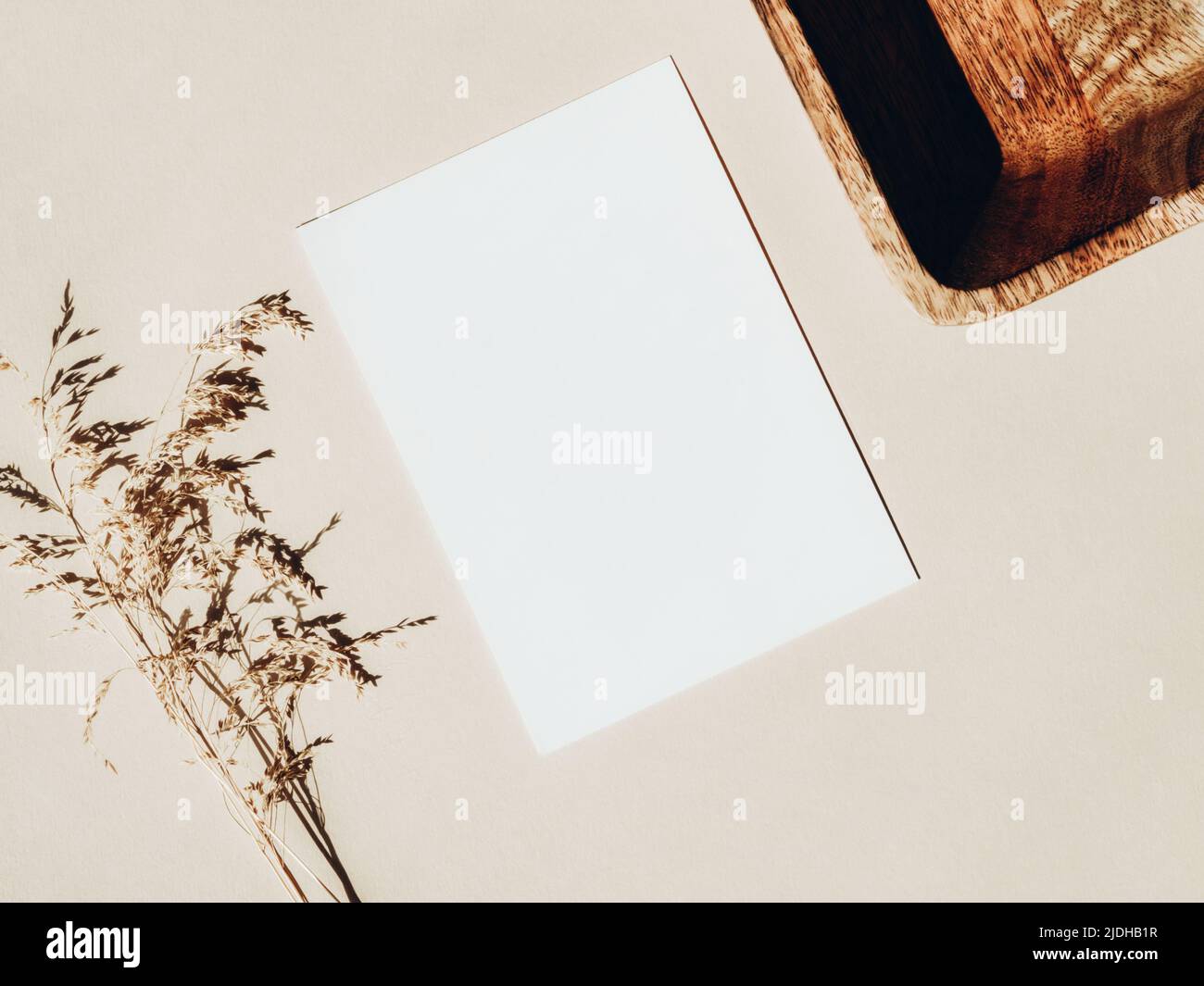 Weiße leere Karte für Textmockup, trockene Pflanze und Holzablage auf beigem Hintergrund. Minimales Konzept für Business, Botschaft oder Einladung in Pastell Stockfoto