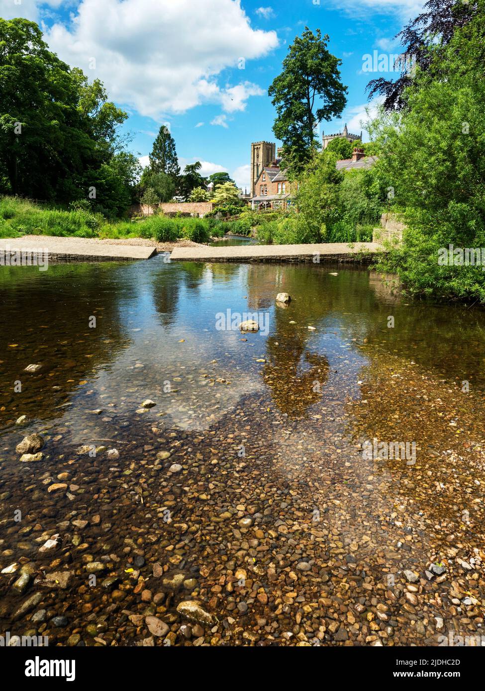 Blick entlang des Flusses Skell in Richtung Kathedrale im Sommer bei Ripon North Yorkshire England Stockfoto