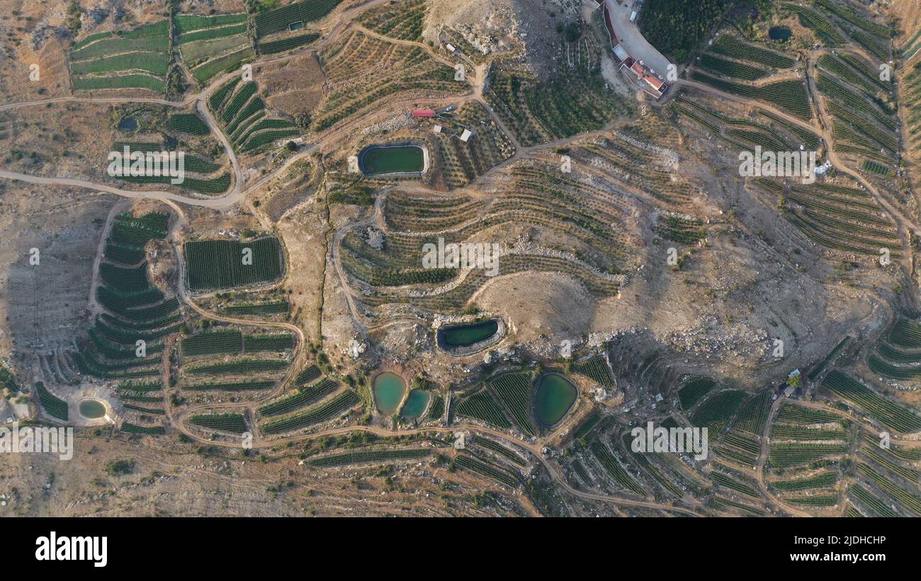 Grüne bergige Felder und Straßen in der Halbwüste, Mount Libanon - Faraya, Mittlerer Osten Stockfoto