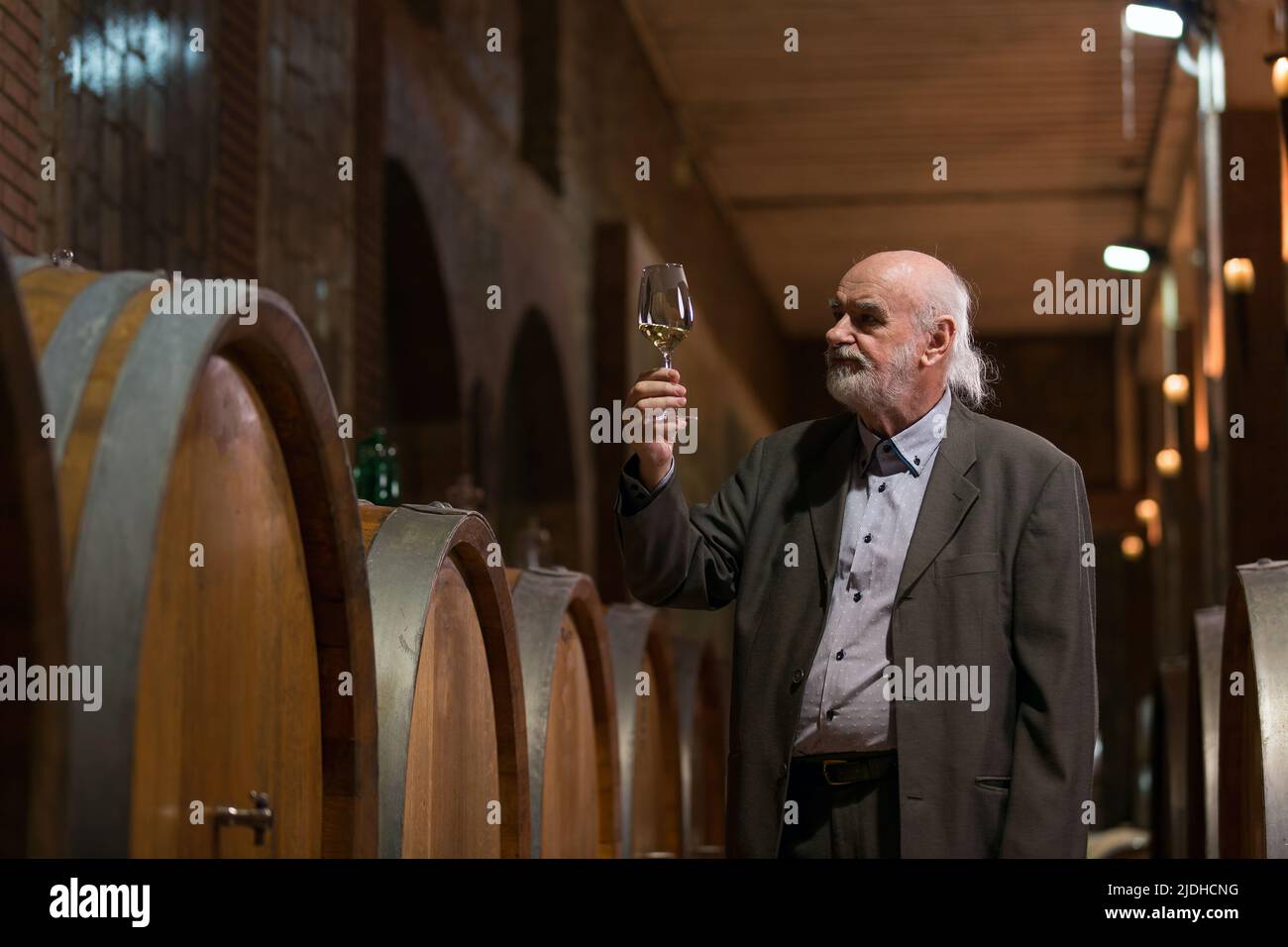 Älterer kaukasischer Tourist, Graubart eleganter Mann, der Rotwein in einem unterirdischen Weinkeller des Weinguts mit einer langen Tradition verkostet Stockfoto