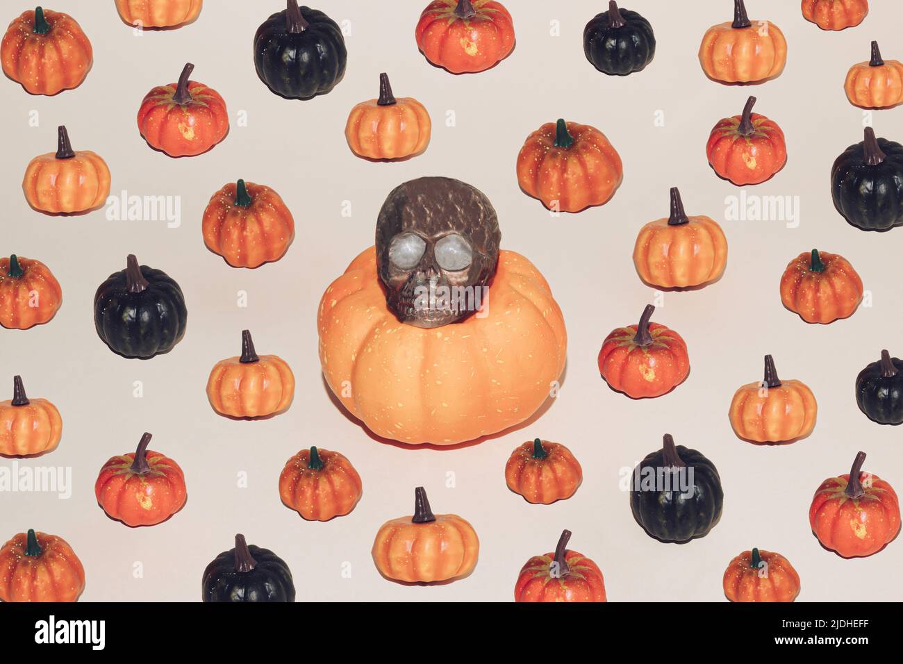 Halloween Minimalkonzept mit bunten Kürbissen und braunem Totenkopf. Kreative gespenstische Urlaub Spaß Hintergrund. Santa Muerte Konzept. Herbsthintergrund. Stockfoto