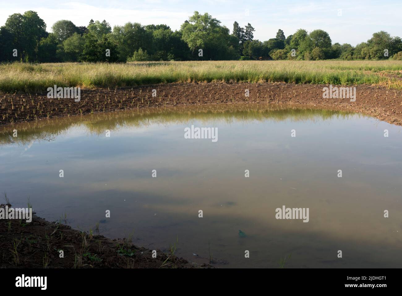Das Stratford Riverside Nature Reserve wird derzeit in Entwicklung gebracht, Stratford-upon-Avon, Warwickshire, Großbritannien Stockfoto