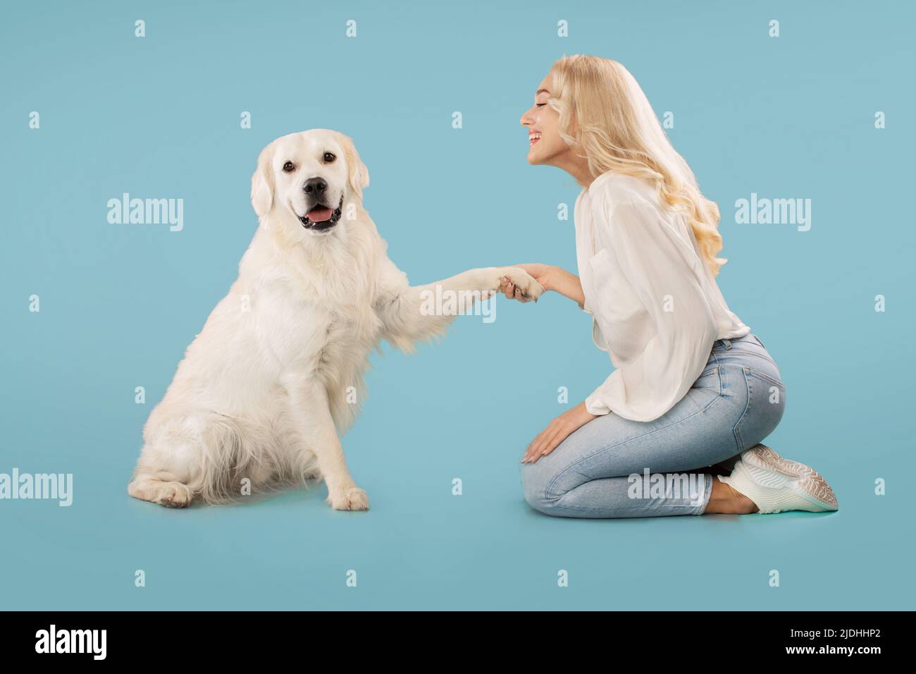 Mensch-Tier-Verbindungskonzept. Labrador gibt seiner Besitzerin, die auf blauem Hintergrund auf dem Boden sitzt, Pfote Stockfoto