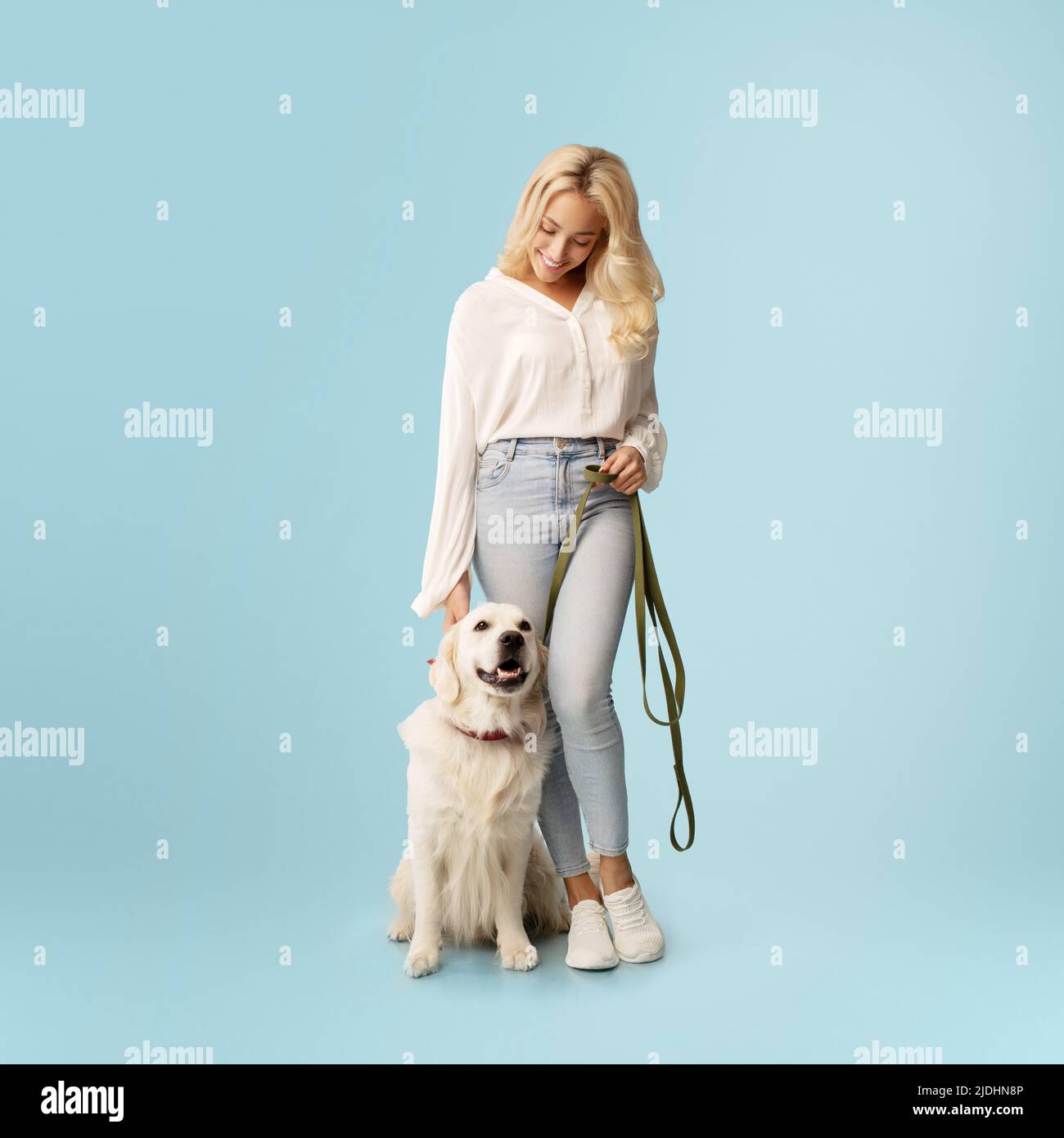 Freundschaftskonzept. Fröhliche Frau posiert mit ihrem glücklichen labrador-Hund an der Leine und steht auf blauem Hintergrund Stockfoto