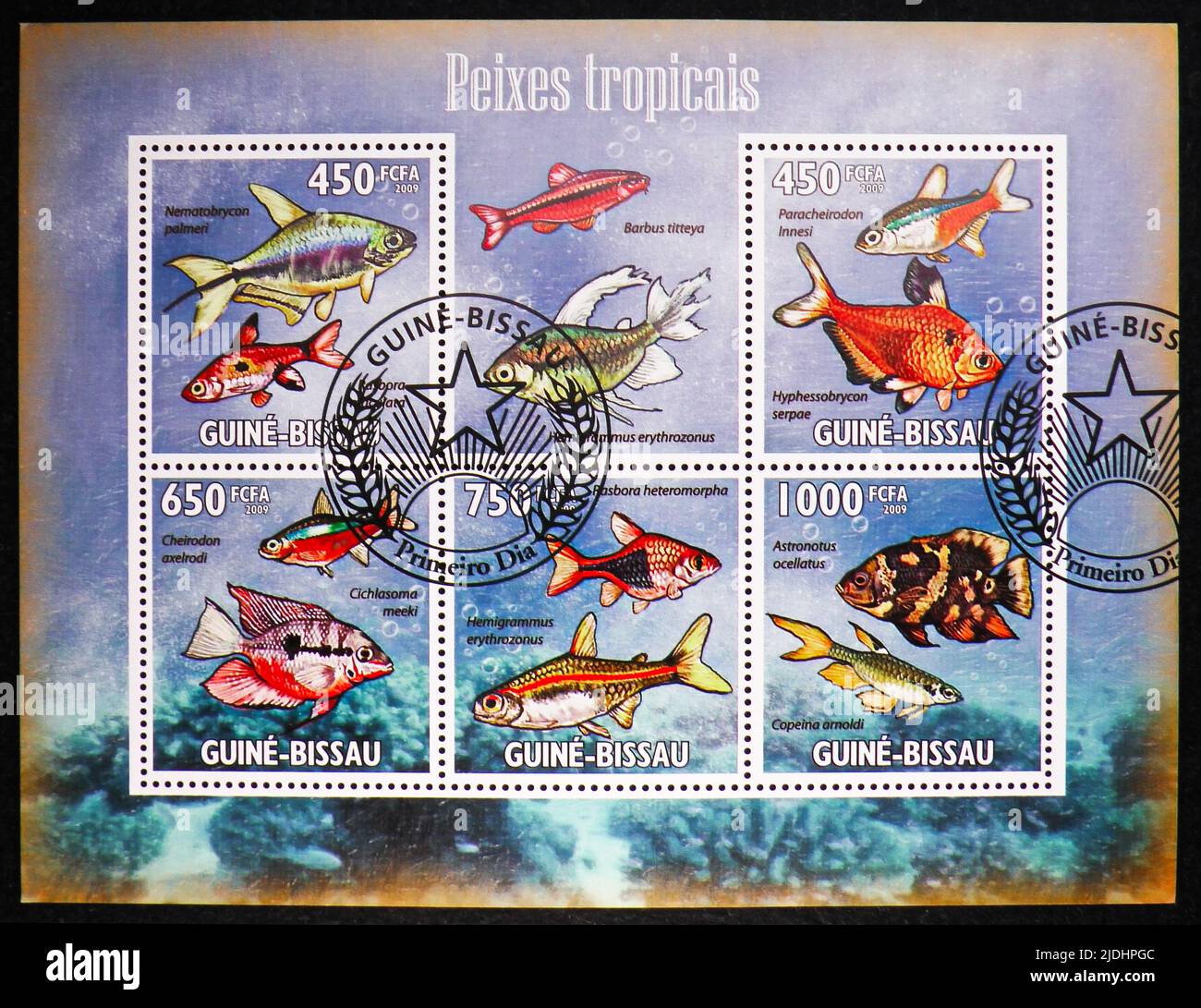 MOSKAU, RUSSLAND - 17. JUNI 2022: Die in Guinea-Bissau gedruckte Briefmarke zeigt Block: Nematobrycon palmeri, Rasbora maculata, Barbus tittea, Hemigrammus Stockfoto