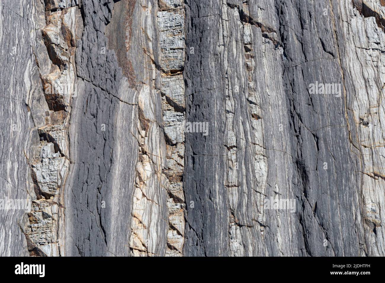 Detaillierte Ansicht der freigelegten und erodierten Klippe am Greencliff Beach Textur und Maserung in den Felsen: Greencliff, nahe Bideford, Devon, Großbritannien. Stockfoto Detaillierte Ansicht der freigelegten und erodierten Klippe am Greencliff Beach Textur und Maserung in den Felsen: Greencliff, nahe Bideford, Devon, Großbritannien. Stockfoto