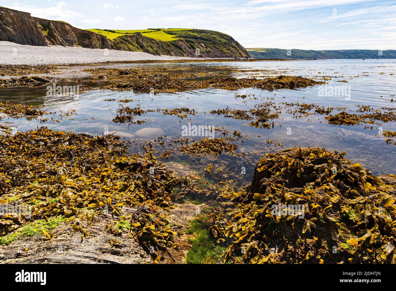 Landschaftlich schöner Strandblick auf Greencliff Beach, exponierte Felsen, Felsenpools und Meerblick in Richtung Clovelly & Hartland Point, ankommende Gezeiten: Greencliff, Bideford Stockfoto Landschaftlich schöner Strandblick auf Greencliff Beach, exponierte Felsen, Felsenpools und Meerblick in Richtung Clovelly & Hartland Point, ankommende Gezeiten: Greencliff, Bideford Stockfoto
