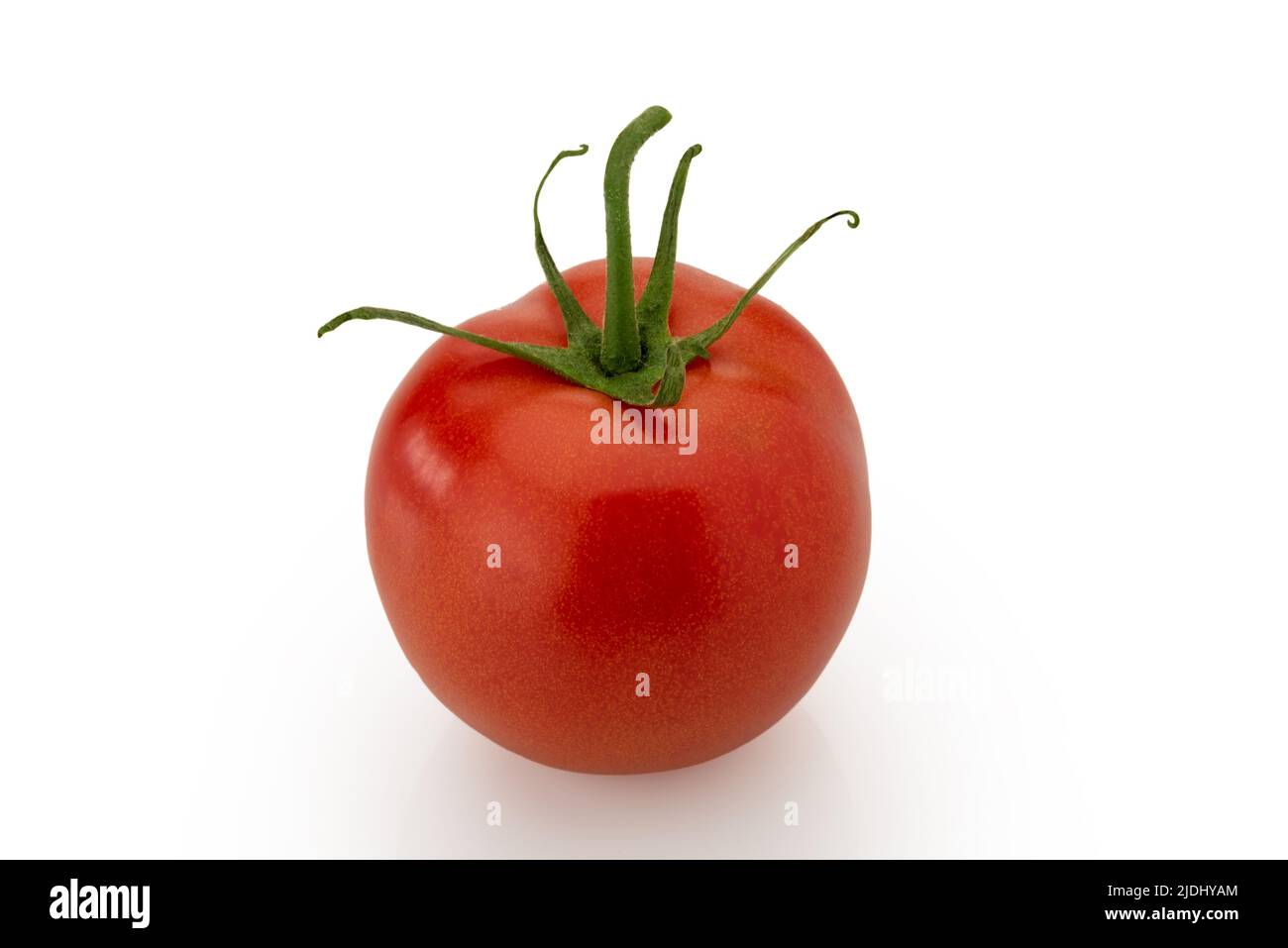 Rote reife Tomate isoliert auf weißem, abschneidendem Pfad geneigt Stockfoto