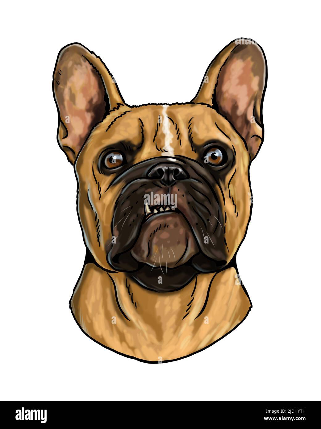 Niedliche französisch Bulldogge Zeichnung. Handgefertigte isolierte Illustration mit dem Hund. Stockfoto