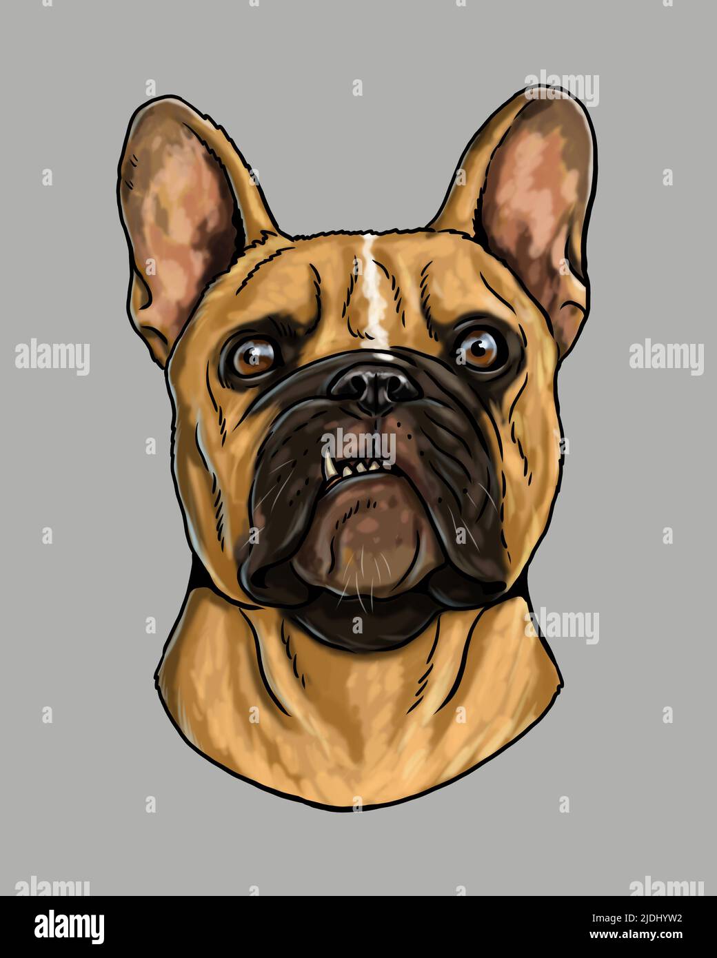 Niedliche französisch Bulldogge Zeichnung. Handgefertigte isolierte Illustration mit dem Hund. Stockfoto