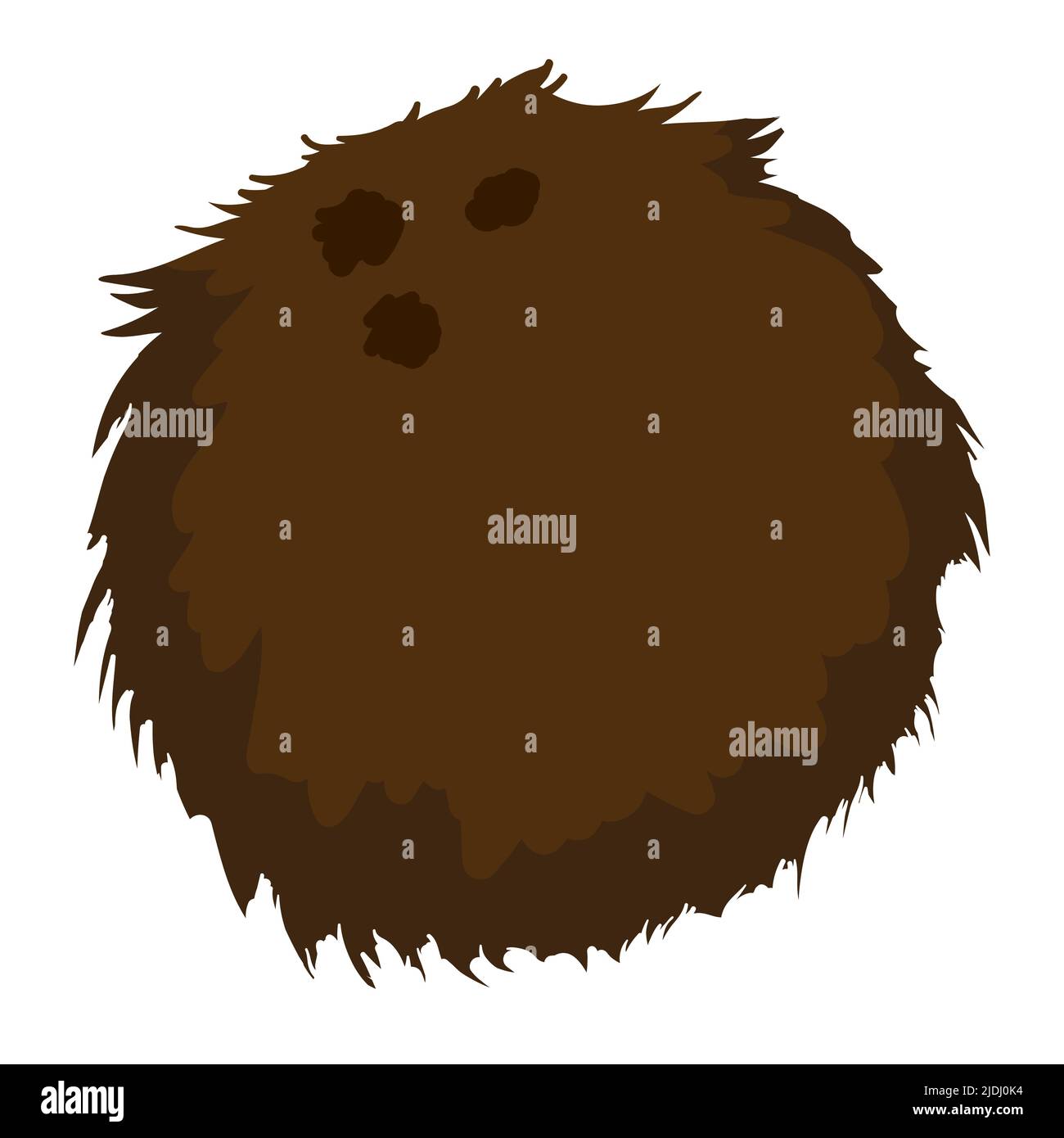 Design im Cartoon-Stil einer tropischen und haarigen Kokosnuss, isoliert auf weißem Hintergrund. Stock Vektor