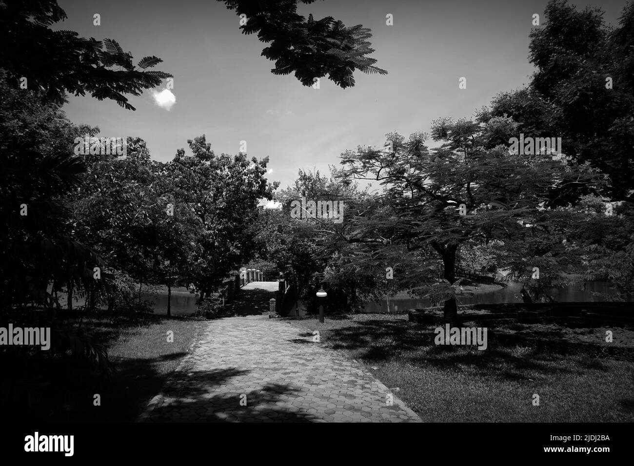 Schwarz und weiß, die Atmosphäre im Park hat schöne Blumen und Pflanzen Stockfoto