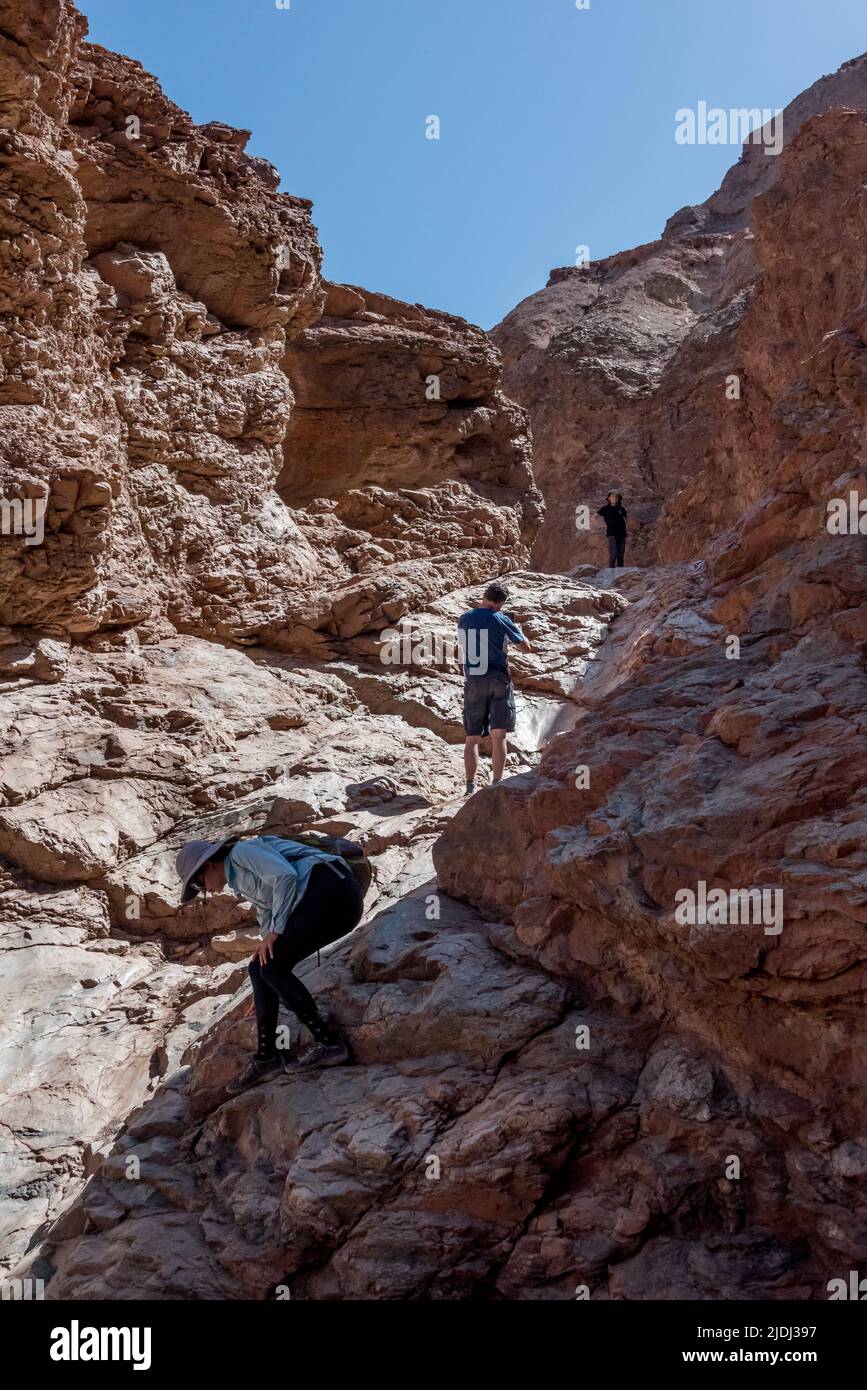 Papa und zwei Kinder kraxeln am trockenen Wasserfall auf dem Natural Bridge Canyon Wanderweg, dem Death Valley National Park, einer beliebten Wanderung in den Black Mountains Stockfoto