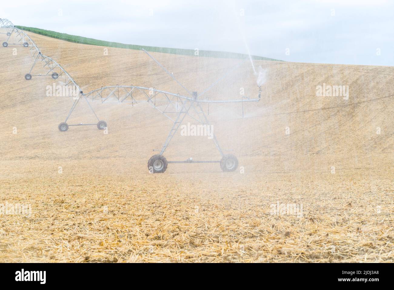 Pivot Bewässerung eines Sojabohnenfeldes nach der Bewässerung mit Gerste im Frühjahr. Besuch auf dem Bauernhof von Frédéric Pagès, Landwirt in Puygaillard-de-Quercy und Präsident des Vereins Syndicale Autorisée d'Irrigation Gouyre / Gagnol / Tordre. Er stellt die Investitionen vor, die er getätigt hat, um Bewässerungswasser mit Unterstützung des Wiederauffüllungsplans zu sparen. Dienstag, 21. Juni 2022. Frankreich, Tarn-et-Garonne. Foto von Patricia Huchot-Boissier/ABACAPRESS.COM Stockfoto